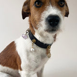 Unleash CPH Sacred Flow Dog Collar - XS