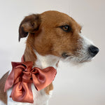 Unleash CPH Sienna Silk Bow