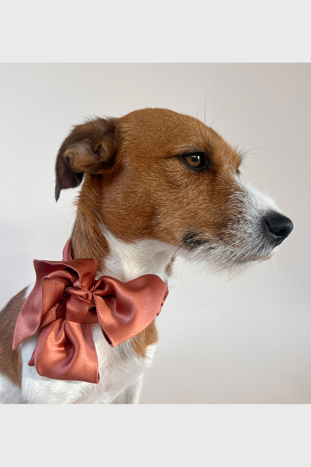 Unleash CPH Sienna Silk Bow