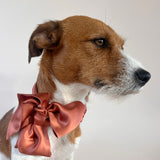 Unleash CPH Sienna Silk Bow