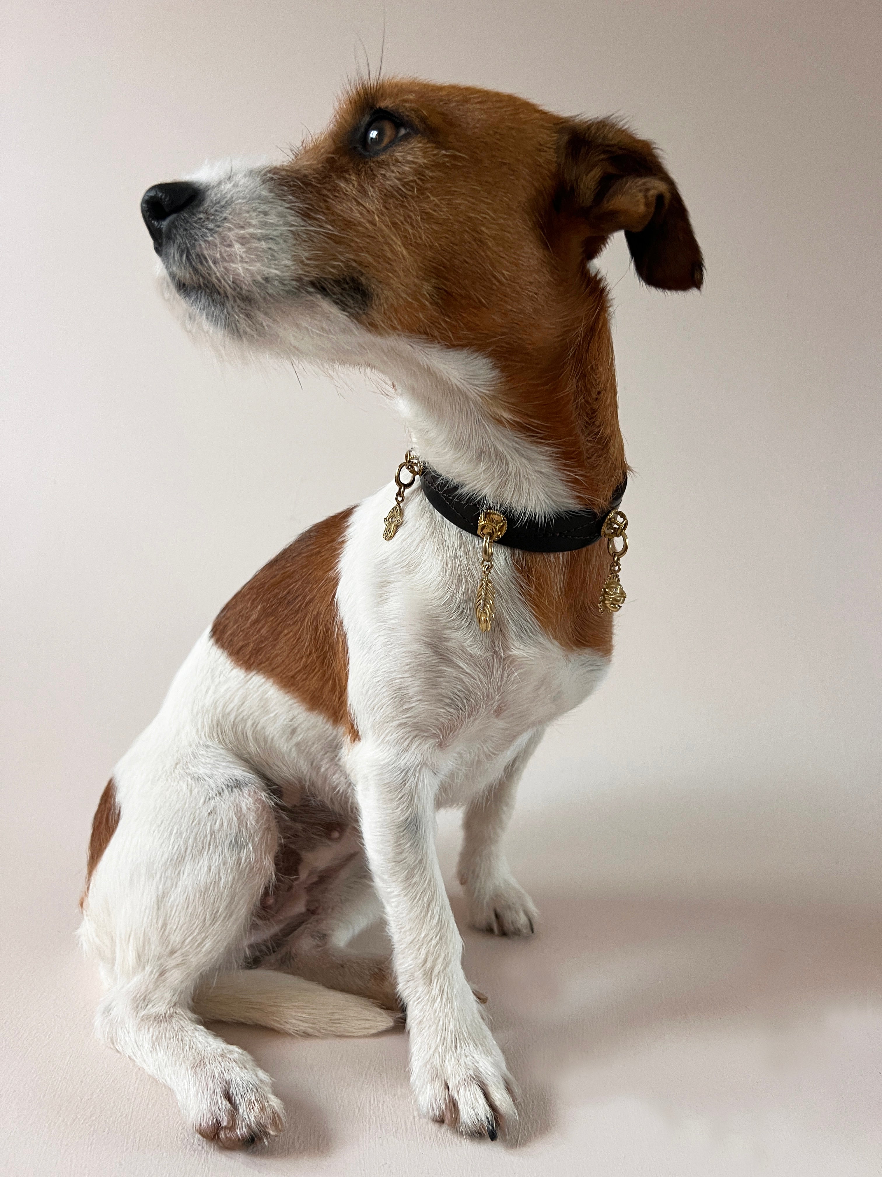 Unleash CPH Guardian Spirit Dog Collar - S