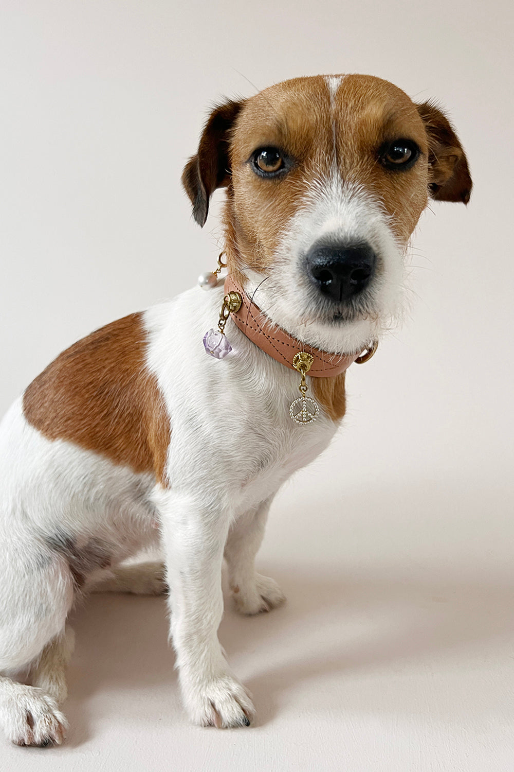 Unleash CPH Tranquil Soul Dog Collar - Large