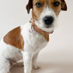 Unleash CPH Tranquil Soul Dog Collar - Small