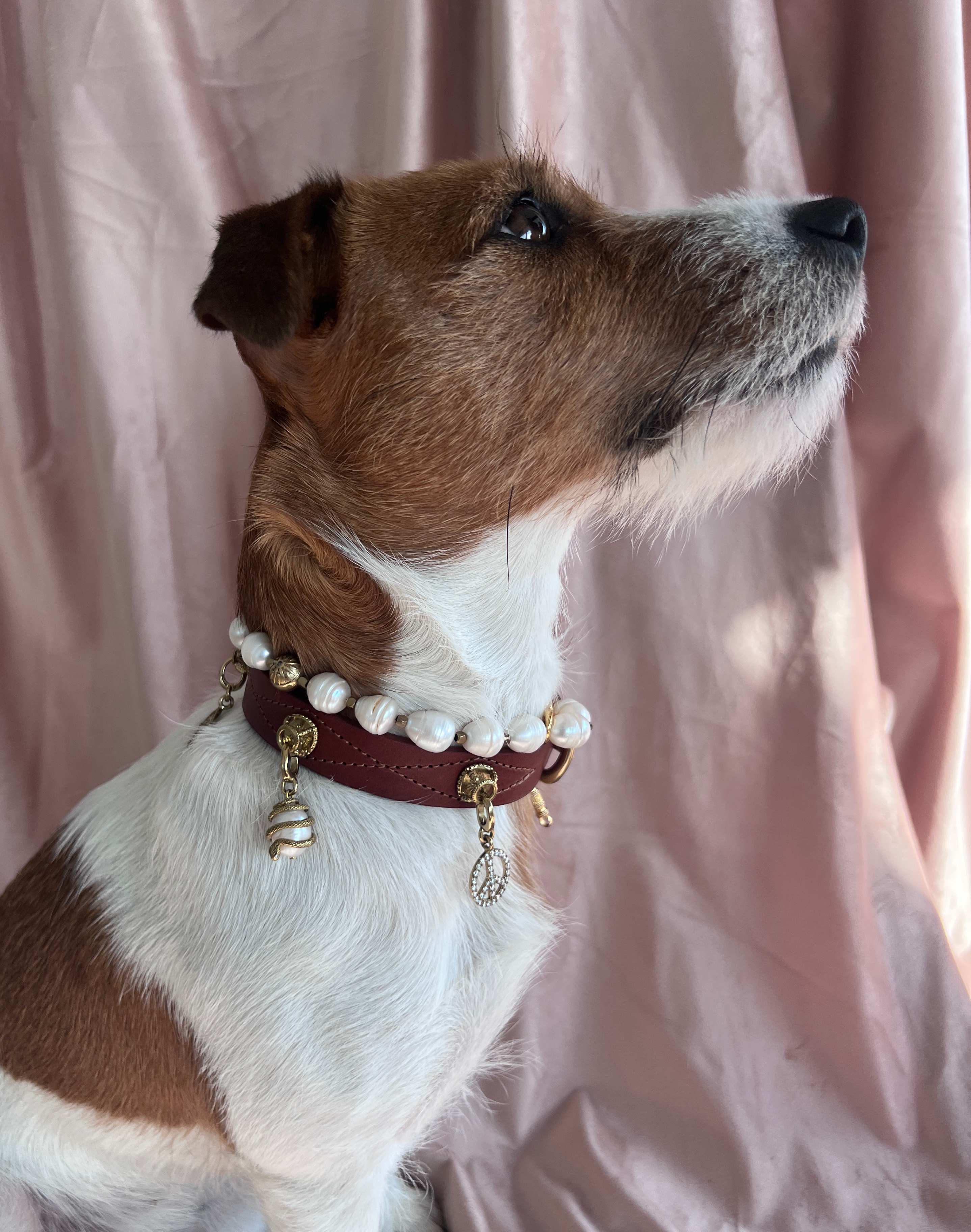 Unleash CPH Transformation Charm - Snake & Pearl | For Your Dog