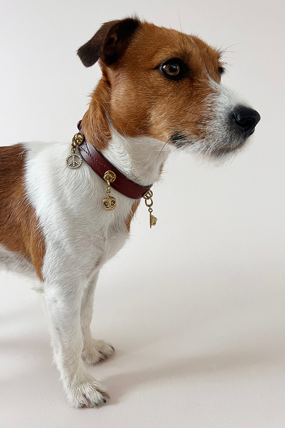 Unleash CPH Untamed Spirit Dog Collar - Large