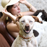 Natural Brown Dog Collar