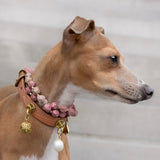 Balance Charm - Freshwater Pearl | For Your Dog