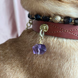 Cognac Dog Collar